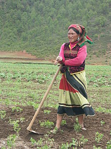 Mosuo woman farmer